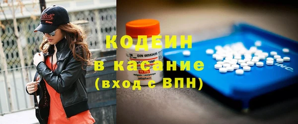 прущие грибы Абаза