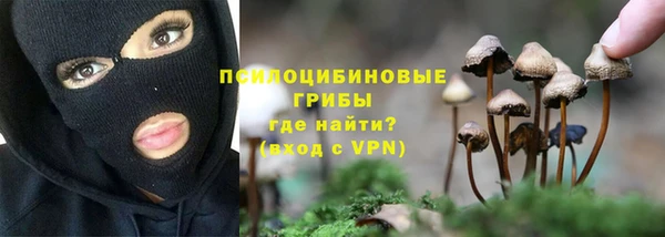 MDMA Premium VHQ Новозыбков