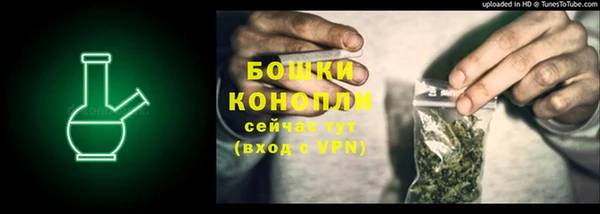 тгк Новодвинск
