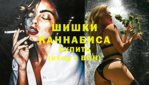 прущие грибы Абаза