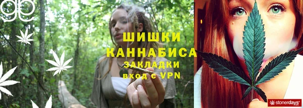 прущие грибы Абаза