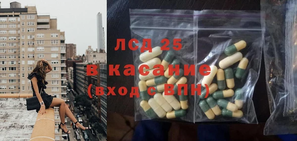 прущие грибы Абаза
