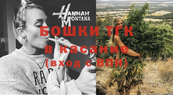 прущие грибы Абаза