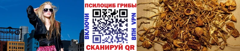Галлюциногенные грибы Psilocybine cubensis  Таганрог 