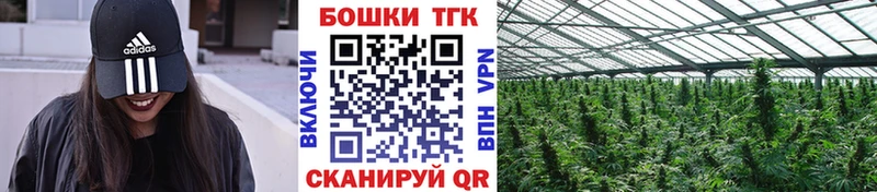 Каннабис White Widow  Таганрог 